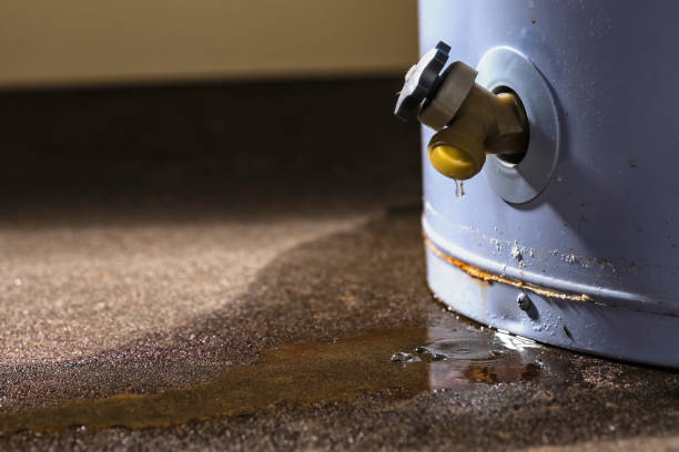 Best Fire Damage Restoration  in Hawthorne, CA