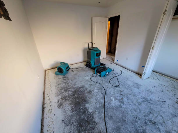 Best Water damage repair service  in Hawthorne, CA