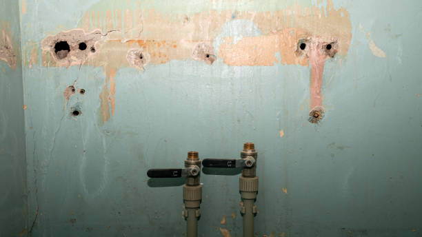 Best Water damage cleanup near me  in Hawthorne, CA