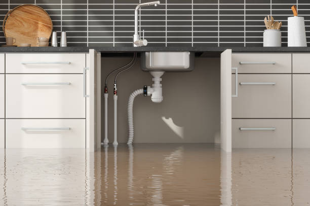 Best Water damage restoration experts  in Hawthorne, CA