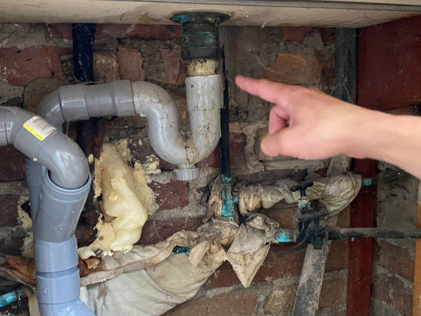 Best Carpet water damage restoration  in Hawthorne, CA