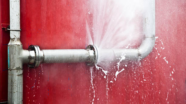 Best Flooded house restoration  in Hawthorne, CA